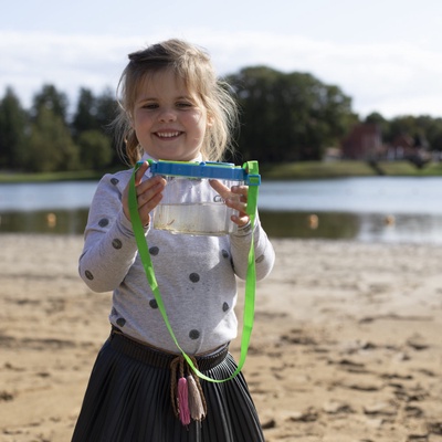 Caja de Estudio de Insectos L